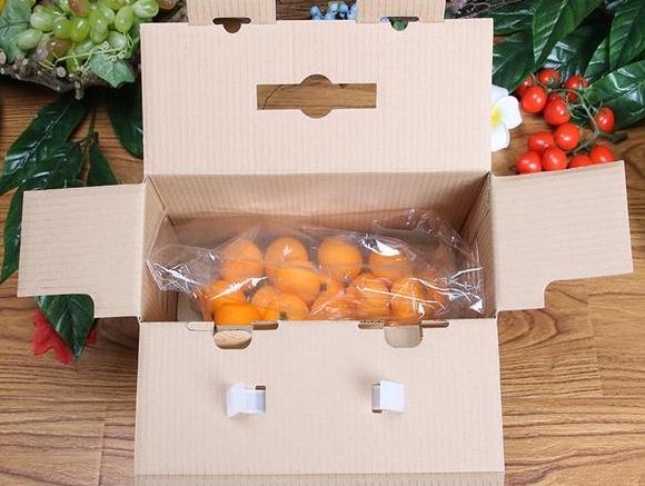 水果包装纸箱.jpg